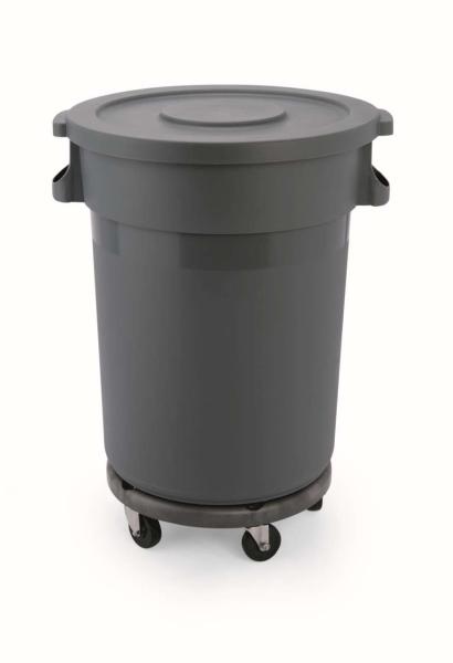 005 9219800 (25) W Abfallbehälter-Abfalltonne mit Deckel 80 ltr.